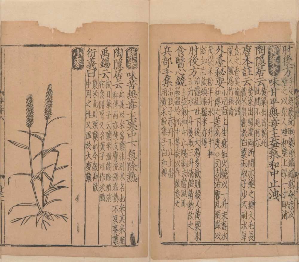 xin_bian_lei_yao_tu_zhu_ben_cao · 样张30