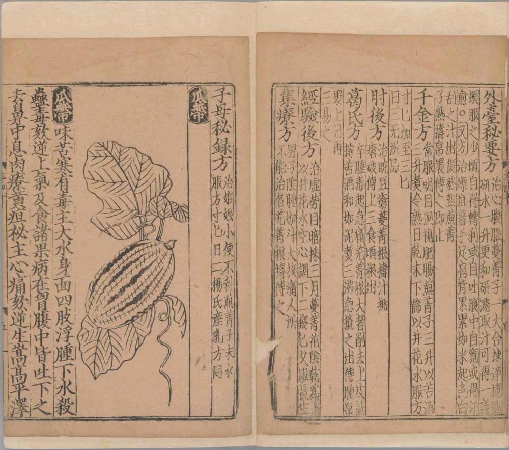 xin_bian_lei_yao_tu_zhu_ben_cao · 样张31