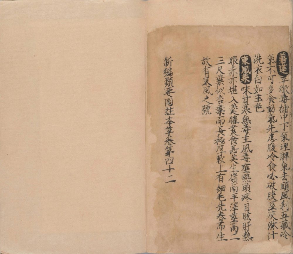 xin_bian_lei_yao_tu_zhu_ben_cao · 样张33