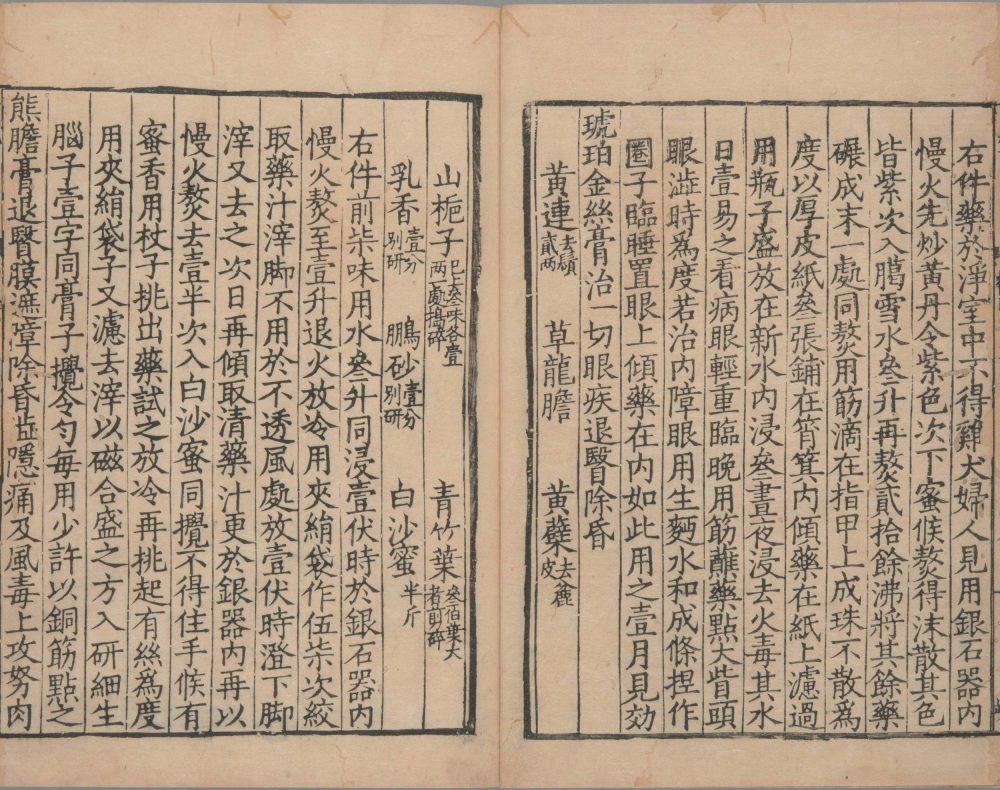yang_shi_jia_cang_fang · 样张14