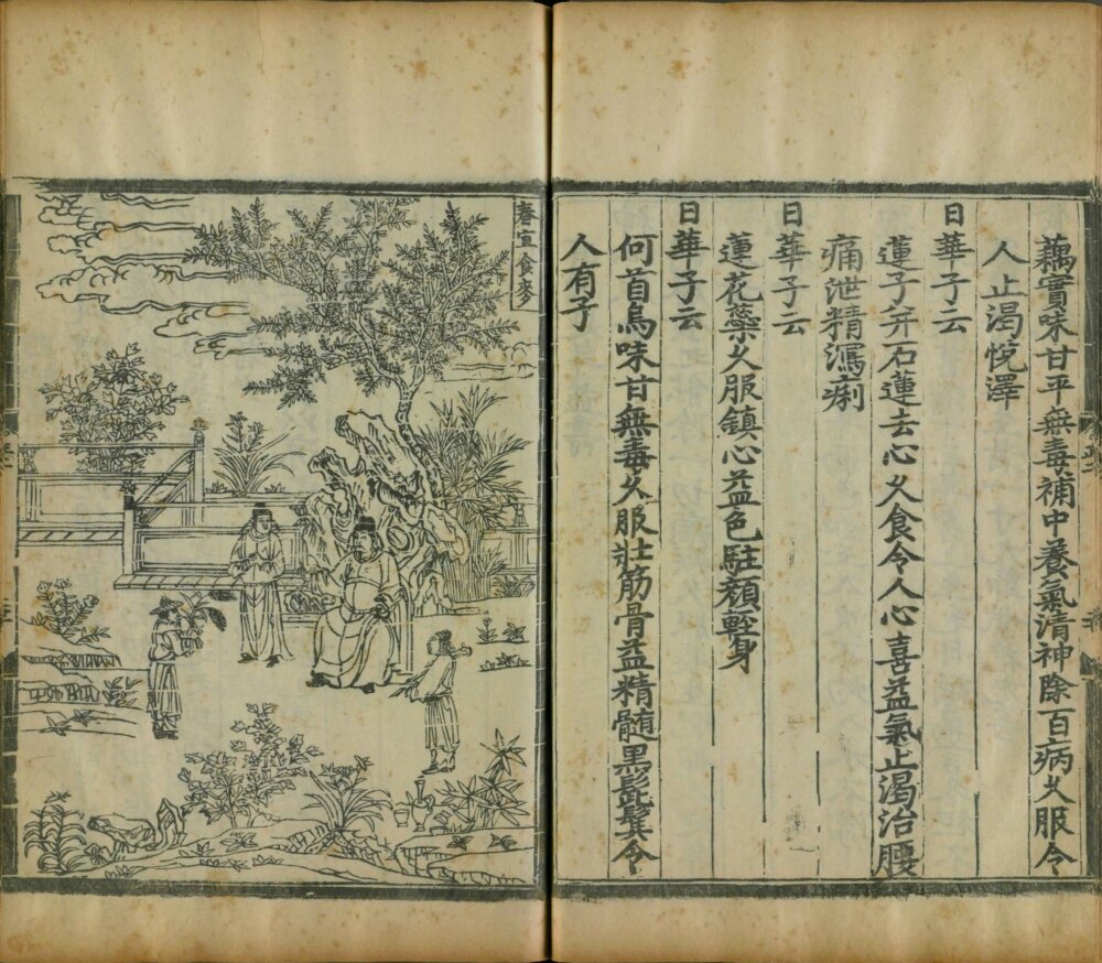 yin_shan_zheng_yao · 样张9