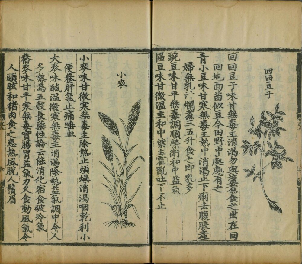 yin_shan_zheng_yao · 样张16
