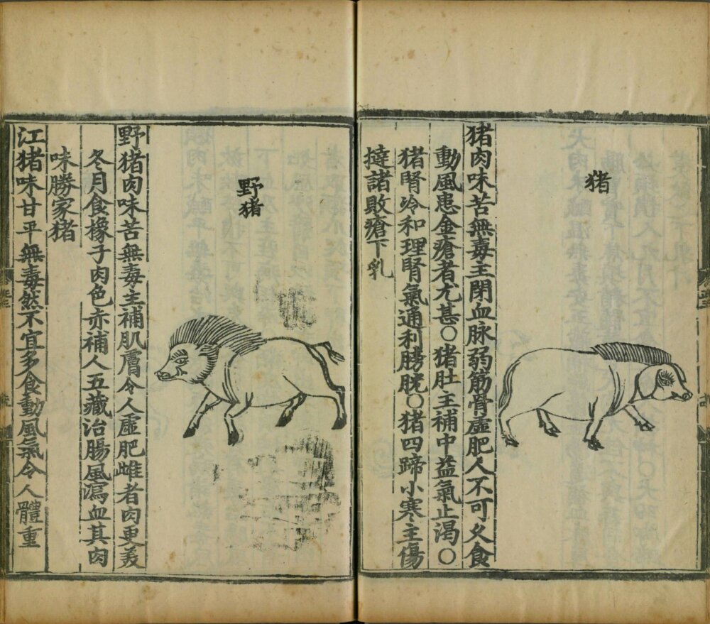 yin_shan_zheng_yao · 样张17