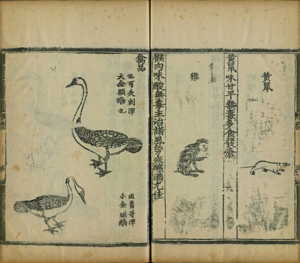 yin_shan_zheng_yao · 样张18