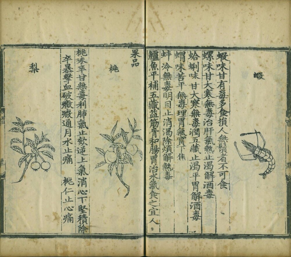yin_shan_zheng_yao · 样张19