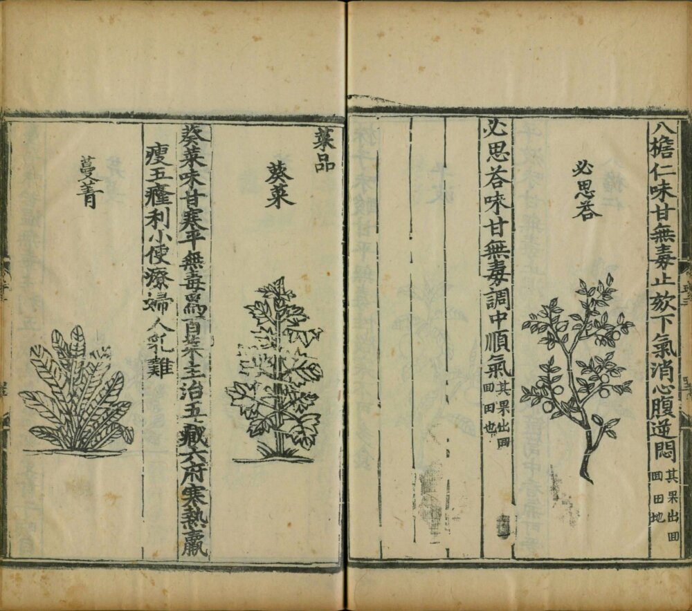yin_shan_zheng_yao · 样张20