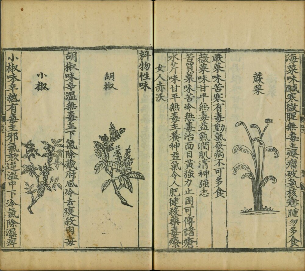 yin_shan_zheng_yao · 样张21