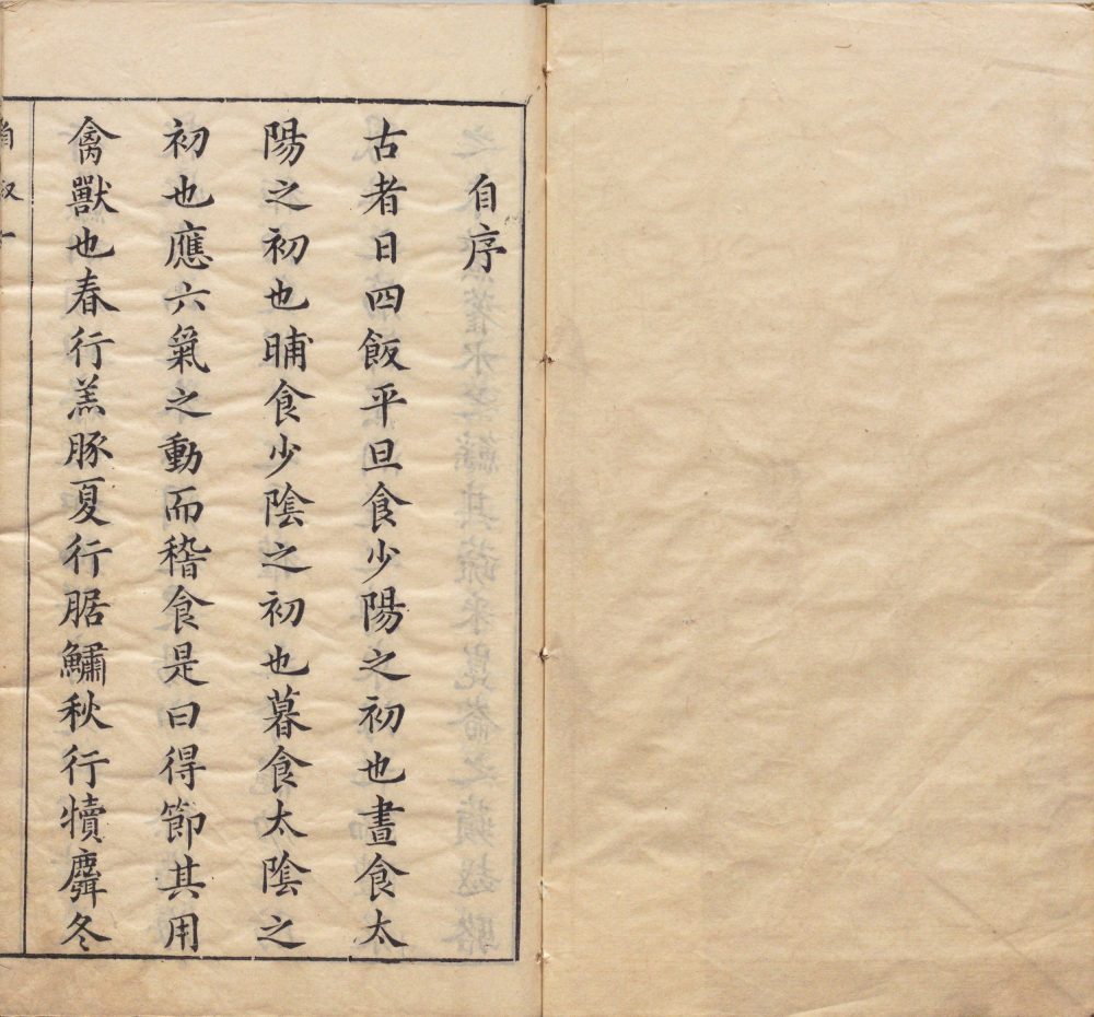 yin_shi_shu · 样张1