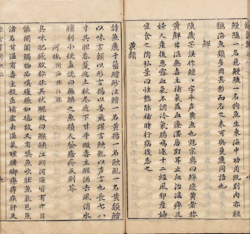 yin_shi_shu · 样张10
