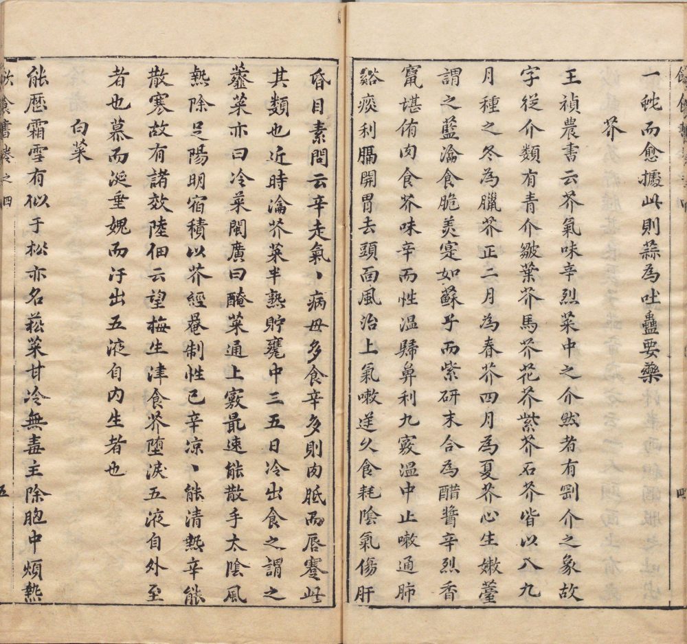 yin_shi_shu · 样张13