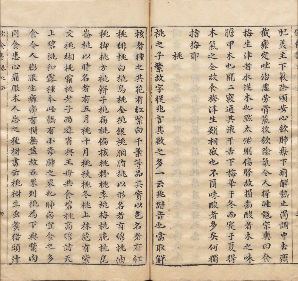 yin_shi_shu · 样张16